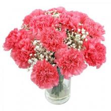 12 Pink Carnation Vase 12 Pink Carnation Vase