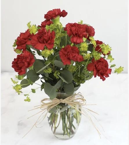 10 Red Carnations in a Vase product1477